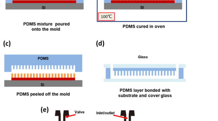 High-Density Microfluidic Chip with Vertical Structure for Digital PCR High-Density Microfluidic Chip with Vertical Structure for Digital PCR