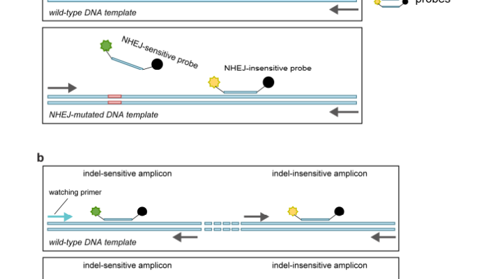 A Digital PCR Method Based on Highly Specific Taq for Detecting Gene Editing and Mutations A Digital PCR Method Based on Highly Specific Taq for Detecting Gene Editing and Mutations