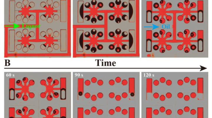 A Self-Priming Microfluidic Chip with Cushion Chambers for Easy Digital PCR A Self-Priming Microfluidic Chip with Cushion Chambers for Easy Digital PCR