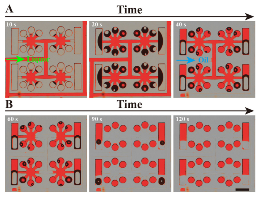 A Self-Priming Microfluidic Chip with Cushion Chambers for Easy Digital PCR